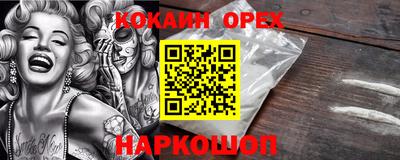 гашик Будённовск