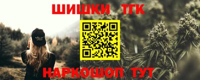 гашик Будённовск