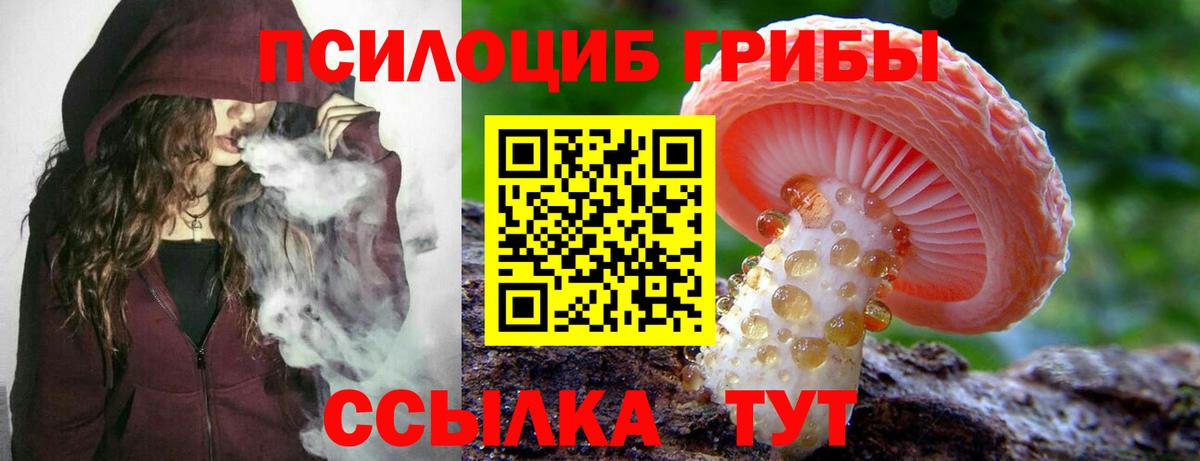 Псилоцибиновые грибы прущие грибы  Псилоцибиновые грибы прущие грибы  Вход с VPN  Шуя 